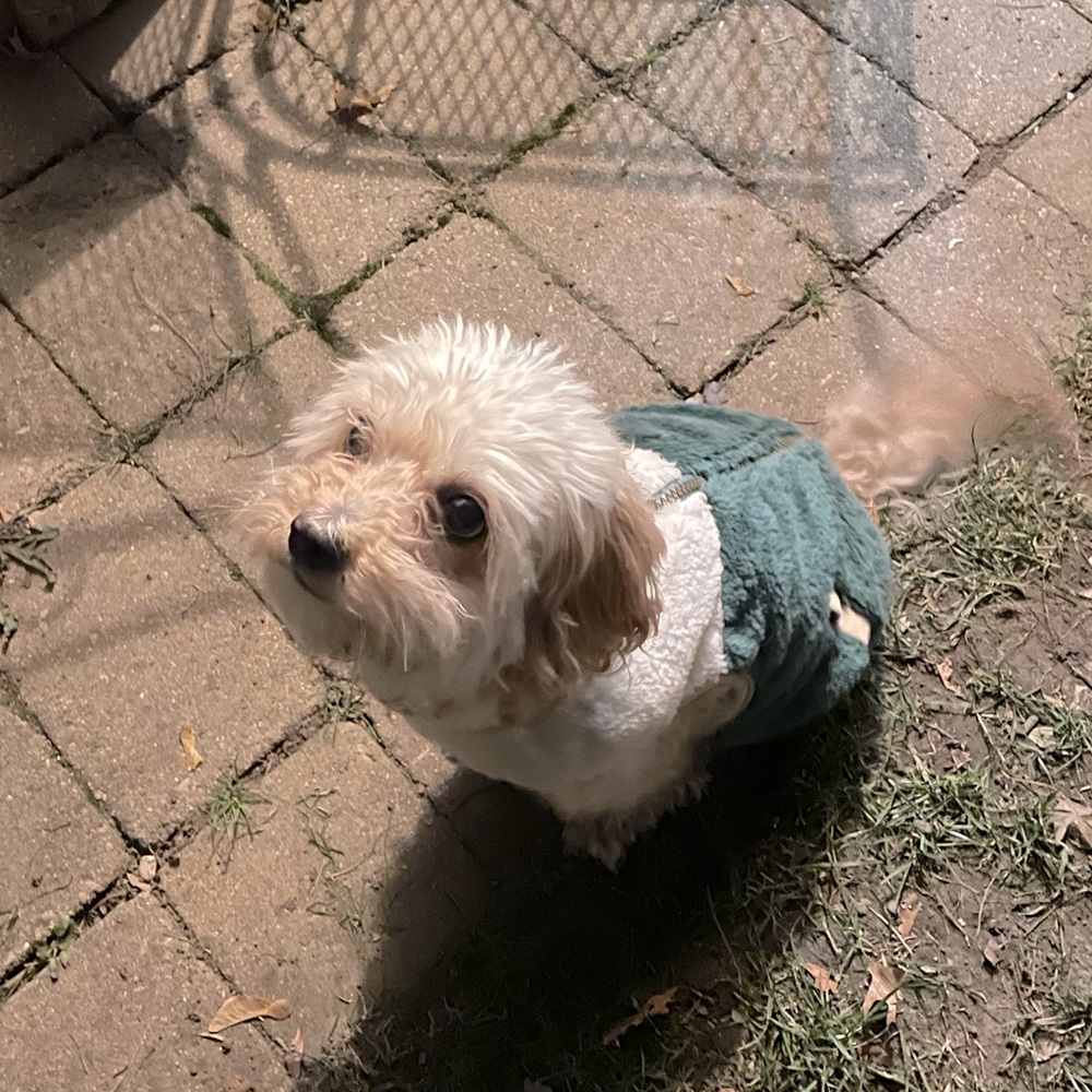 Meet your Posher, Ramona